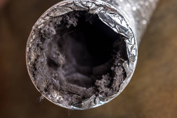 Best Best Air Duct Cleaning Company  in Idaho Springs, CO