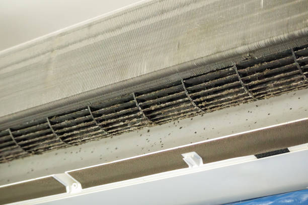 Affordable HVAC Duct Cleaning in CO